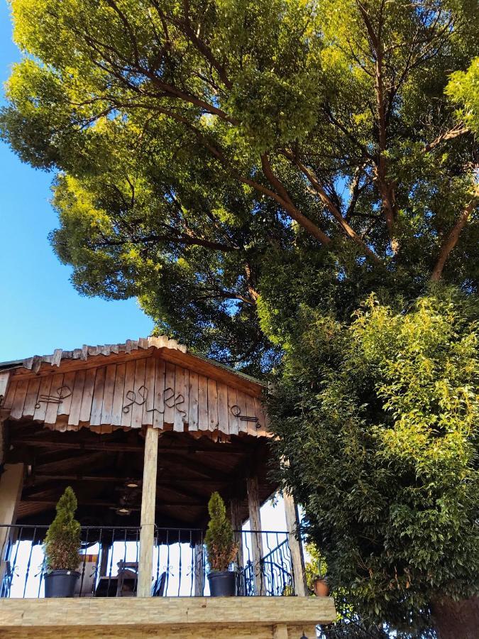 Apartment Green House Makhinjauri Εξωτερικό φωτογραφία