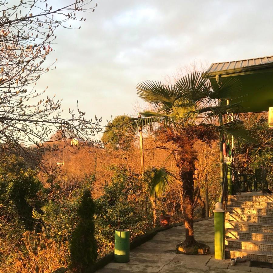Apartment Green House Makhinjauri Εξωτερικό φωτογραφία