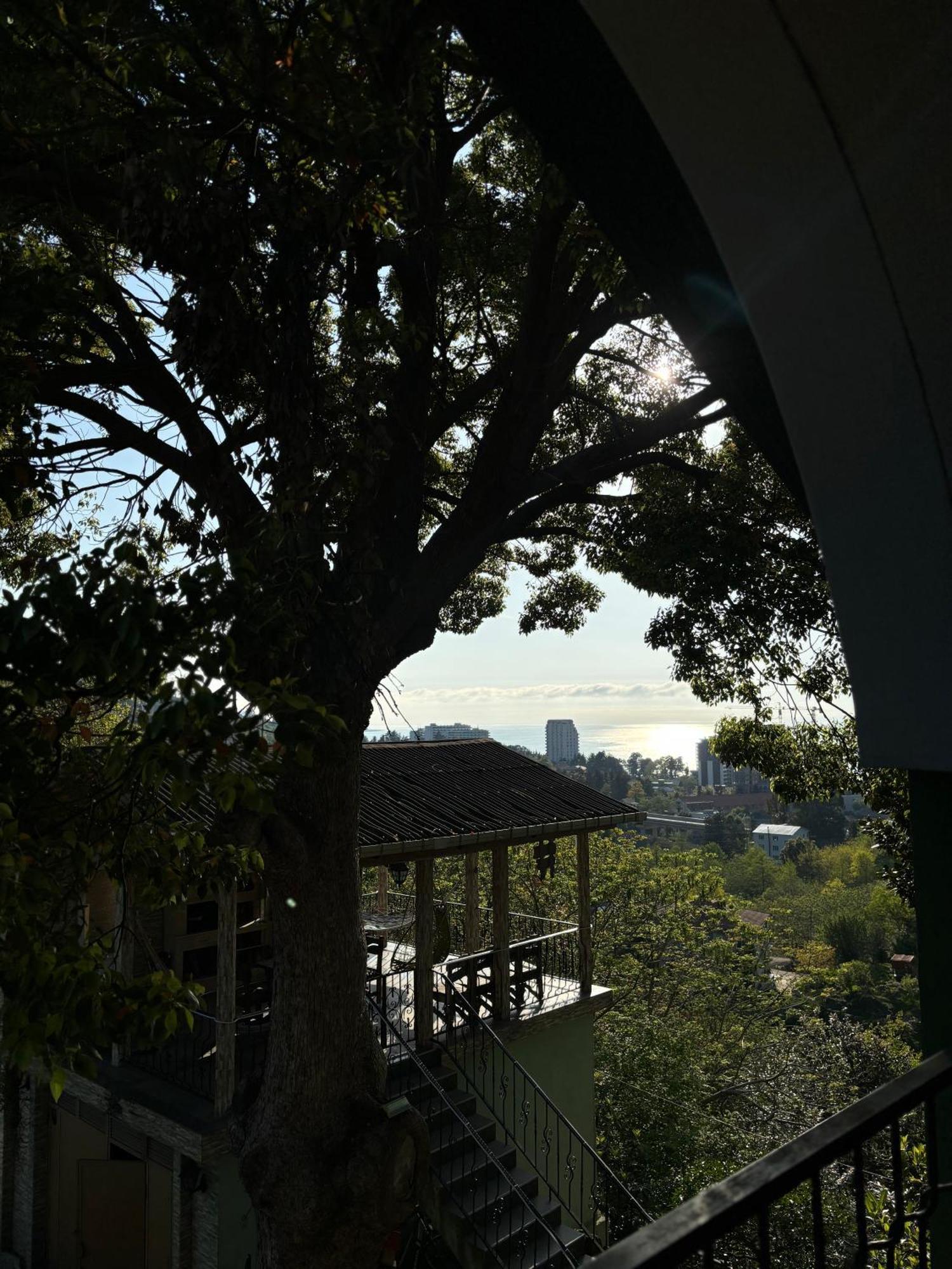 Apartment Green House Makhinjauri Εξωτερικό φωτογραφία