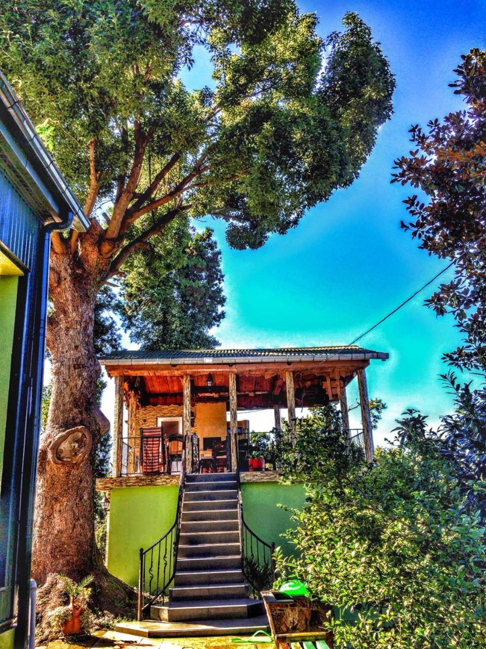 Apartment Green House Makhinjauri Εξωτερικό φωτογραφία