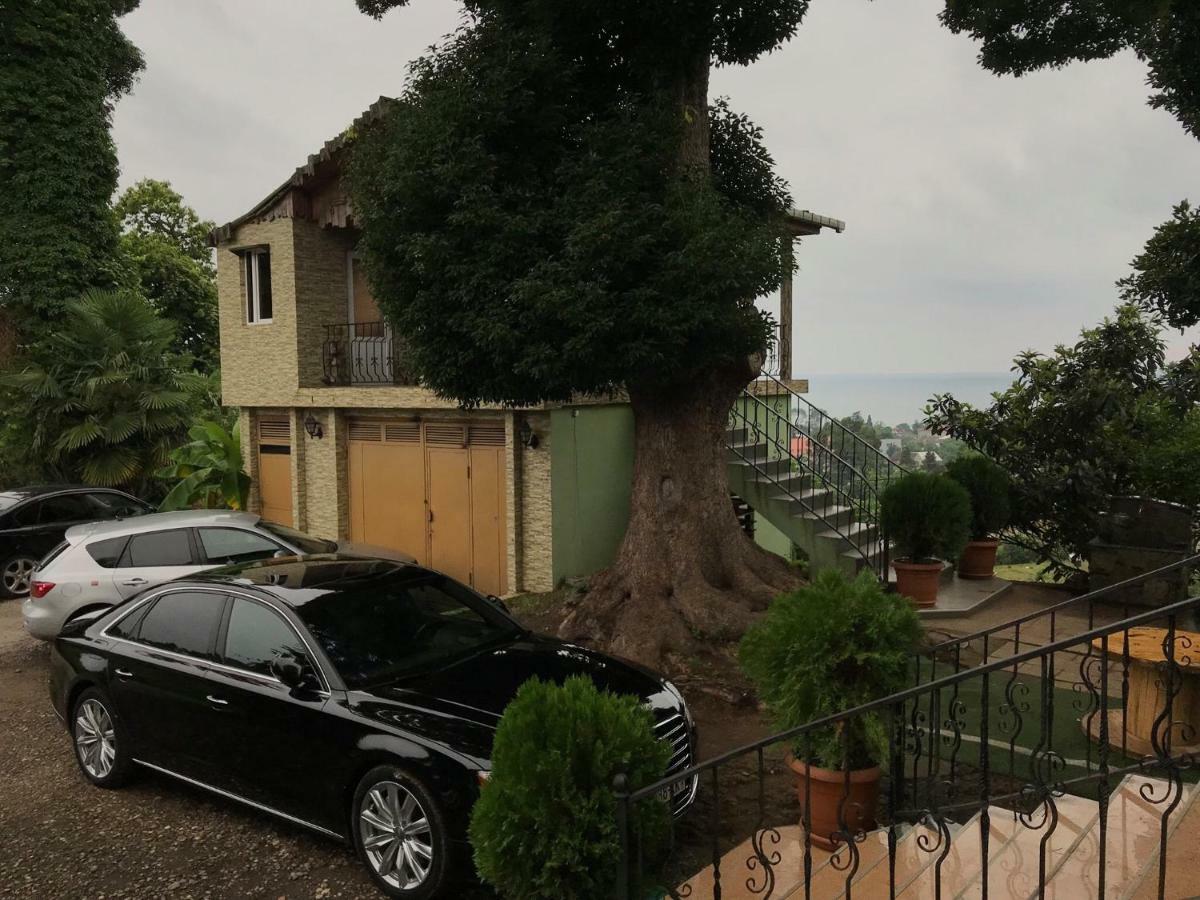 Apartment Green House Makhinjauri Εξωτερικό φωτογραφία